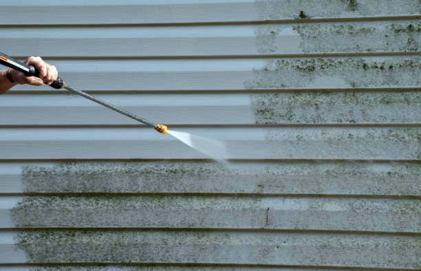Best Pressure Washing Near Me  in Memphis, FL