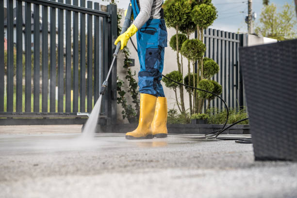 Best Pressure Washing Siding  in Memphis, FL