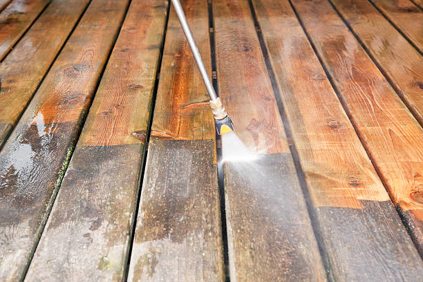 Best Local Pressure Washing Services  in Memphis, FL
