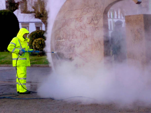 Best Roof Pressure Washing  in Memphis, FL